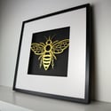 Framed Papercut Bee