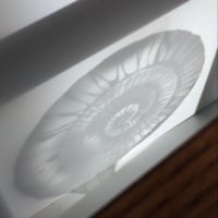 Image 5 of Freestanding frame with ammonite design