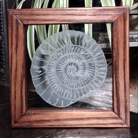 Image 3 of Freestanding frame with ammonite design
