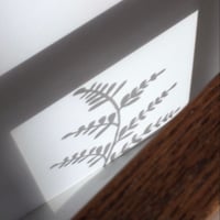 Image 5 of Freestanding frame with plant design