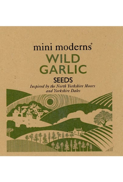 Image of WILD GARLIC SEEDS