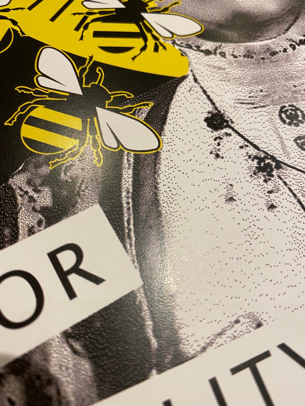 Image of A3 Queen Bee Digital digital print 