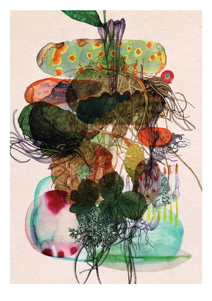Image of Roots