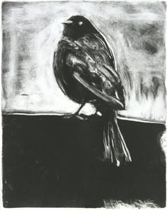 Image of Starlings of Fort Mason No. 4 (Bird on a wall)