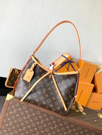 Image 1 of LV Carryall Tote