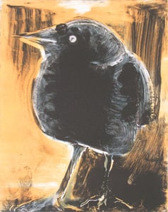 Image of Starlings of Fort Mason No. 2 (Bird on orange ground)