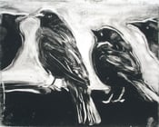 Image of Starlings of Fort Mason No. 5 (Four birds)