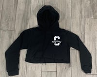 Vintage RC Crop Hoodie 