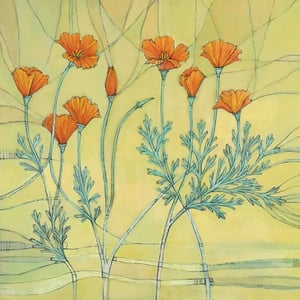 "California Poppies" by Jenn Rawling