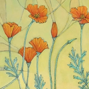 "California Poppies" by Jenn Rawling