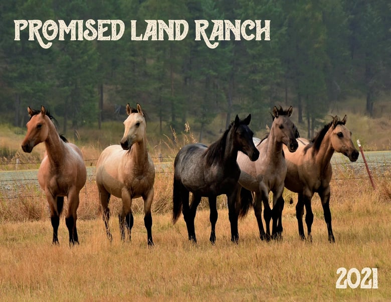 Image of Promised Land Ranch 2021 Calendar