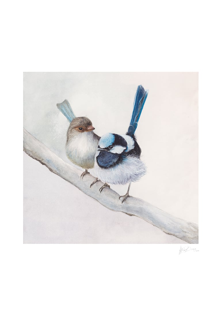 Fairy Wren Power Couple Watercolour - GICLEE PRINT