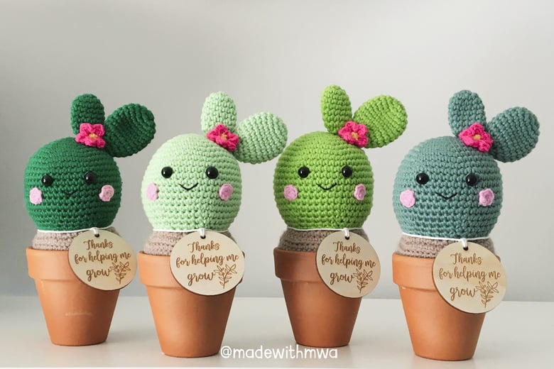Image of Happy Cacti Pots