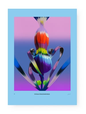 Image of Weird Flowers - Physalis Pseudonarcissus