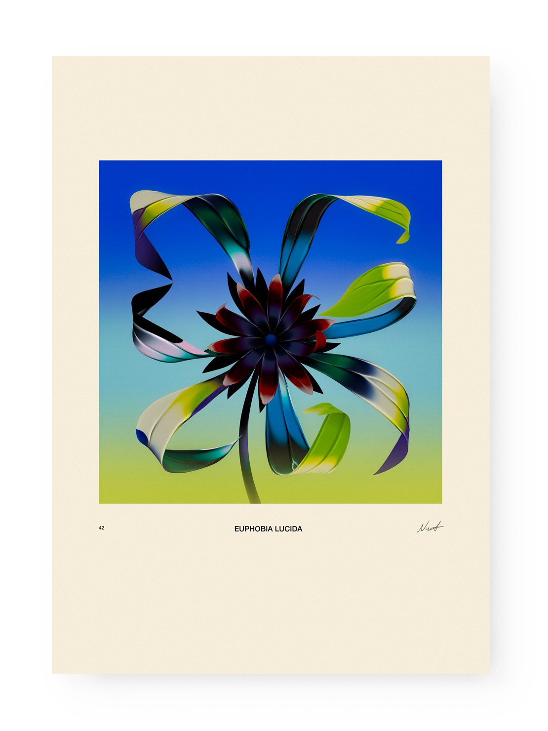 Image of Weird Flowers - Euphobia Lucida