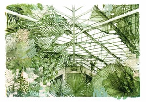 Image of Barbican Conservatory