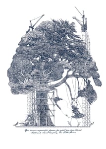Image of Tamed tree