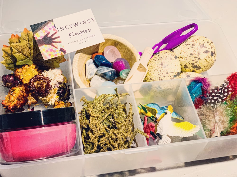 Image of Exotic Bird Playdough Play kit