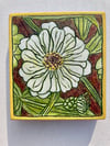 White Zinnia 