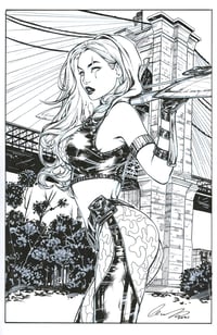 Image 1 of Robyn Hood Iron Maiden one Shot #1