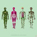 Image of Fine Art Print - The Anatomy of a Plant Person (Female Version)