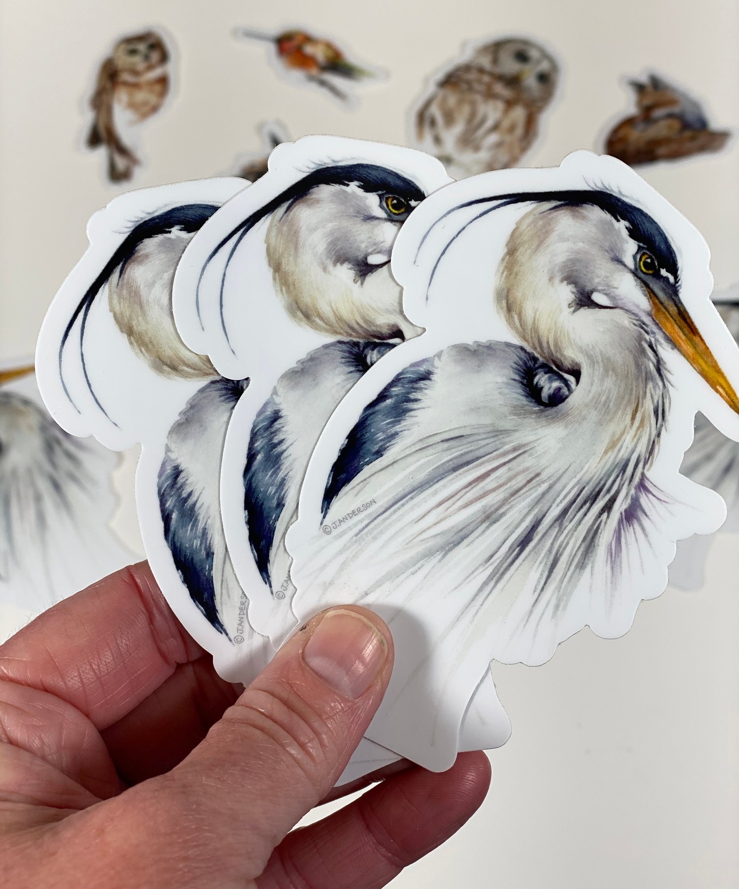 Image of Great Blue Heron Vinyl Stickers