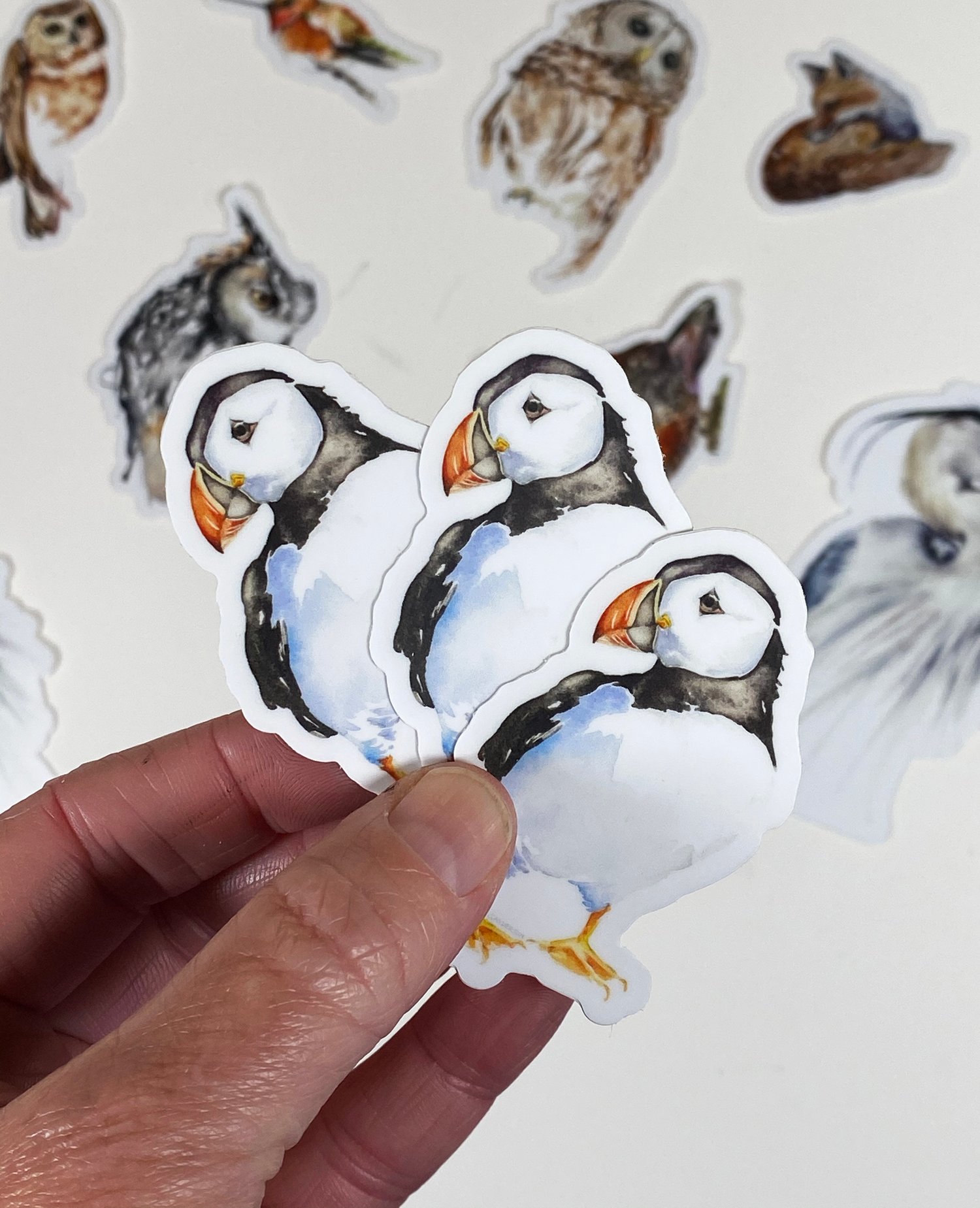 Image of Puffin Vinyl Stickers