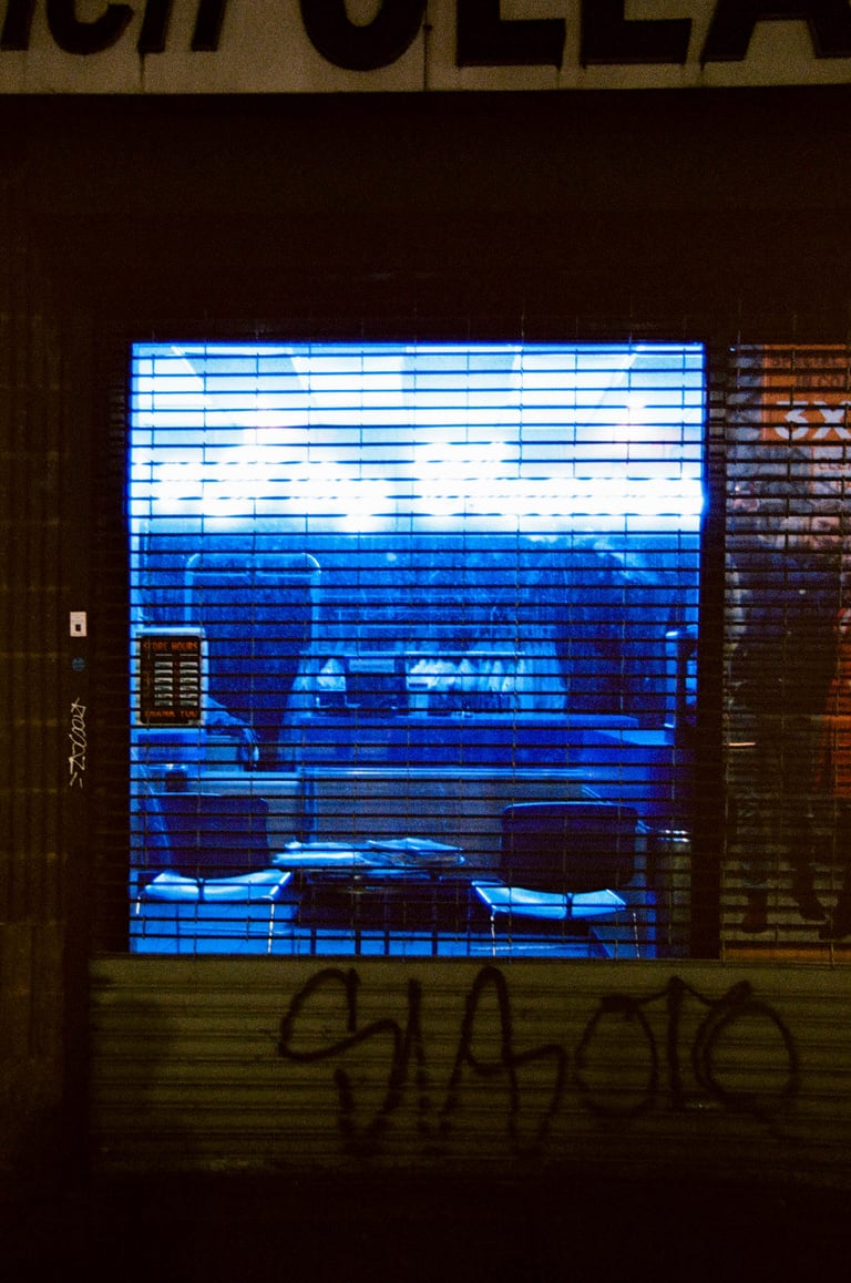 Blue Laundromat, 2019