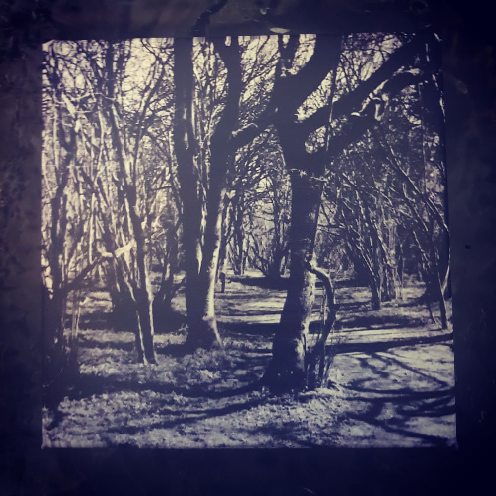 Image of Black Metal Forest Canvas 