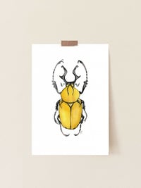 Image 2 of Yellow Beetle Watercolor Illustration PRINT 