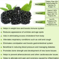 Image 3 of Elderberries 