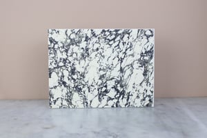 Image of CHRYSOPHORA CHRYSOCHLORA - PAIR