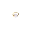  R001 RING _ VERMEIL & SILVER