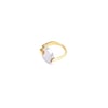  R001 RING _ VERMEIL & SILVER