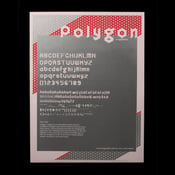 Image of Polygon Poster
