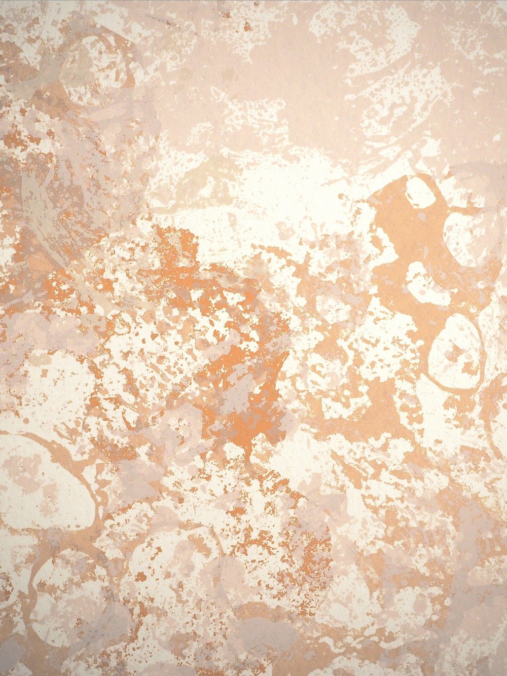 Image of CREMANT 1