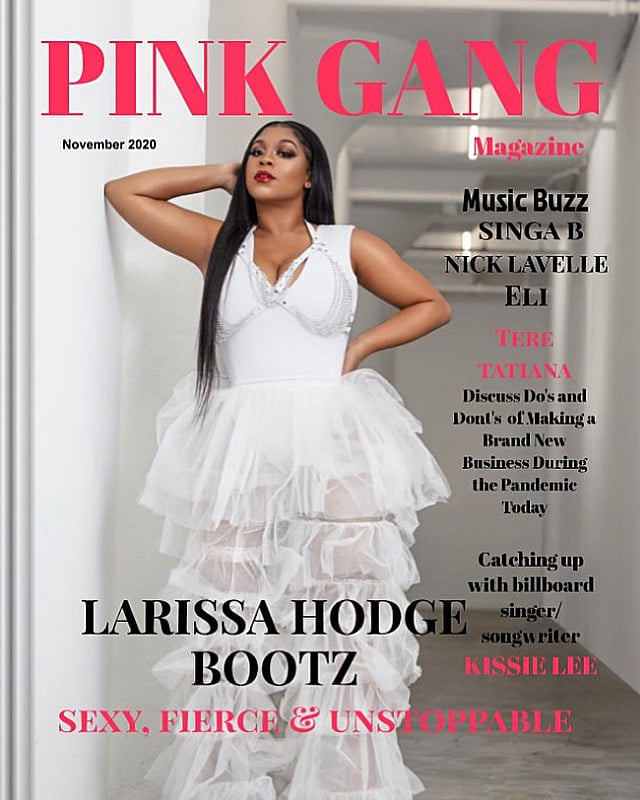 Image of Fall November 2020 Issue