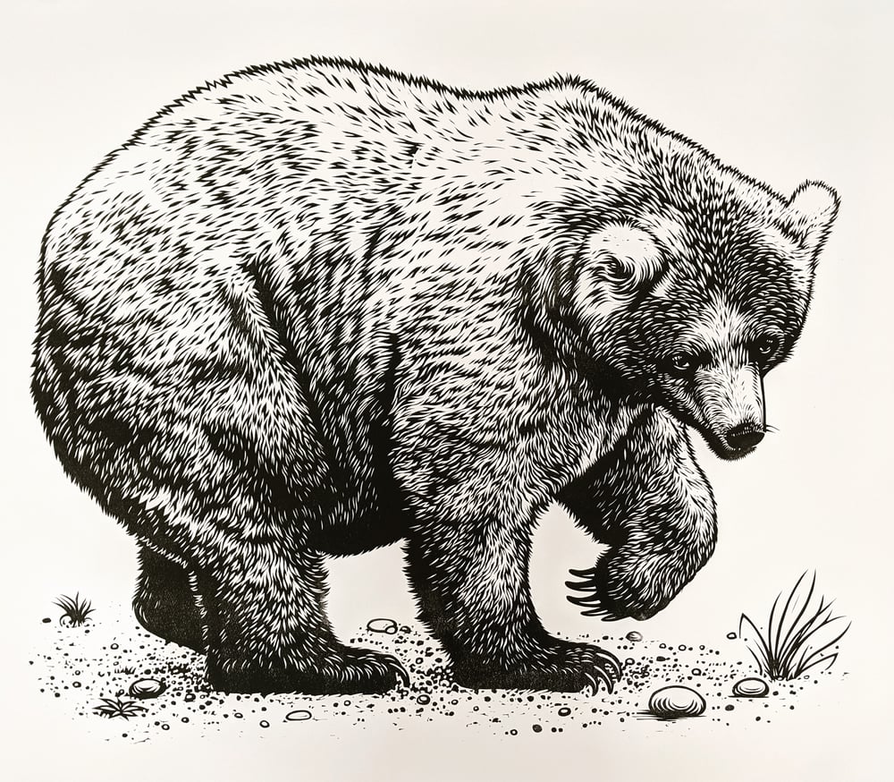 Image of Bear original linocut print