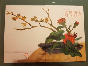 Image of Questo non è un Ikebana - MissTendo