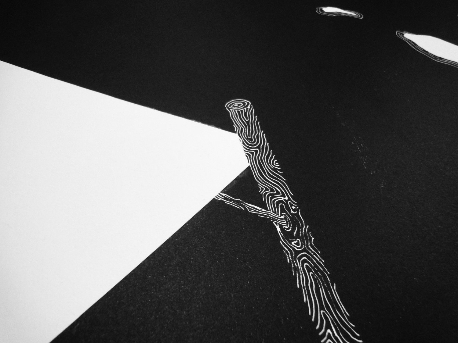 Image of PAPER PLANE (XXL linocut print)