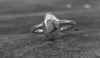 Pebble Solitaire