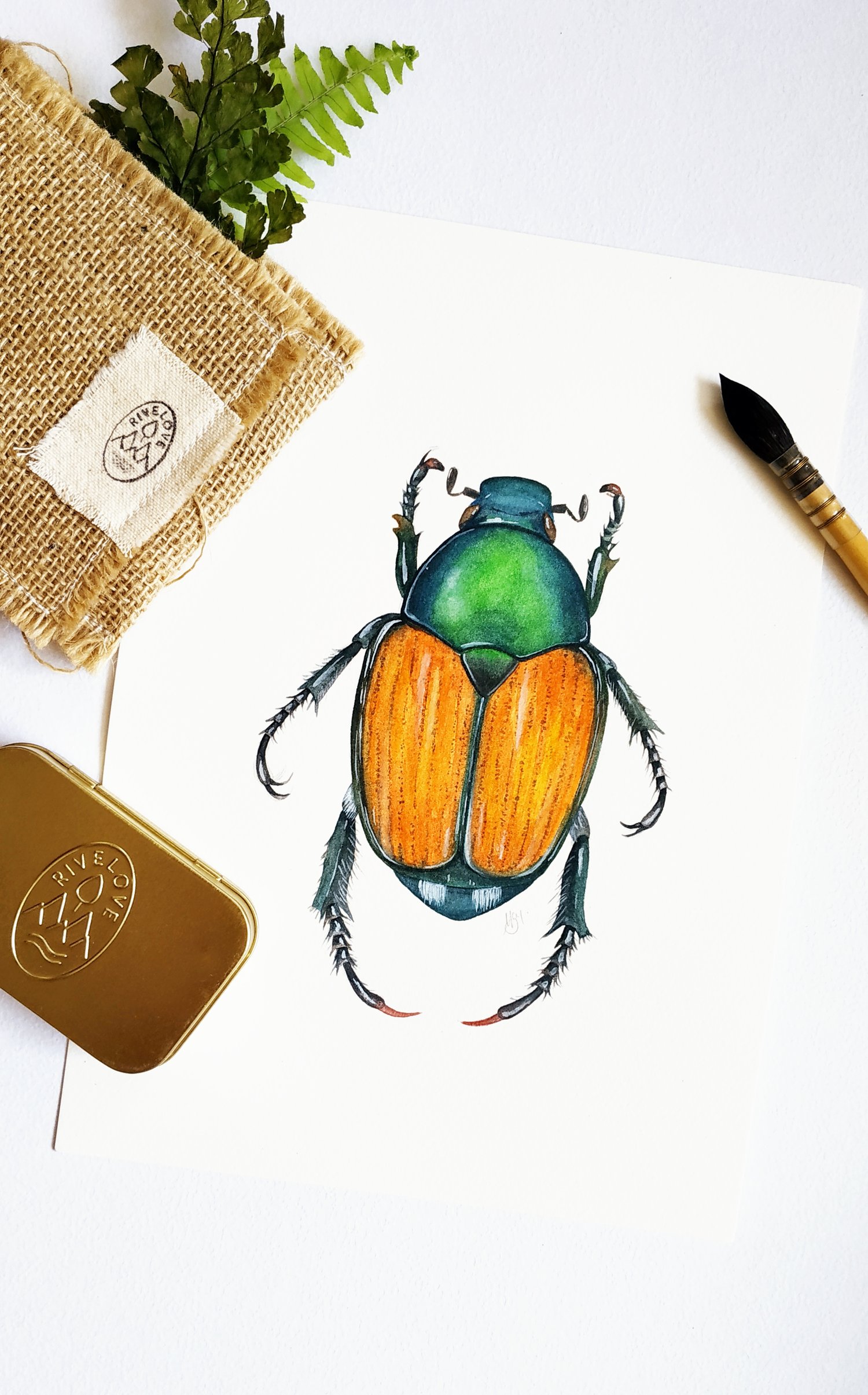 Image of Japanese Beetle Watercolor Illustration PRINT 