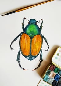 Image 5 of Japanese Beetle Watercolor Illustration PRINT 