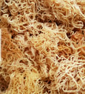 Organic Irish Moss/Sea Moss (100g) 