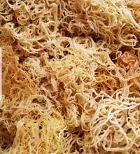 Image 2 of Organic Irish Moss/Sea Moss (100g) 
