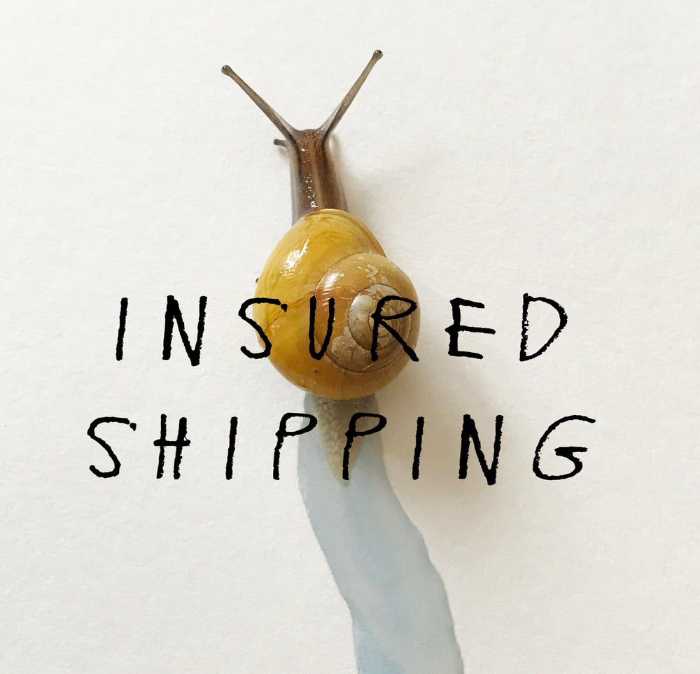 Image of Insured/Tracked Shipping