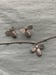 Image of Bee stud earrings 