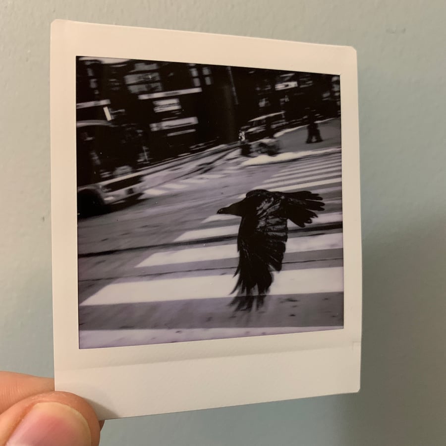 Image of Tokyo Crow, mini print