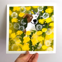 Image 1 of Dandelions - Archive Quality Print