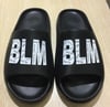 BLM STEPPERS